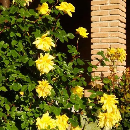 Villa Ca'magna *